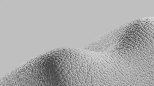 DashXPRO Magnetic Phone Camera Grip with Bluetooth Remote – MagSafe Compatible Smartphone Shooting Handle, Detachable Shutter Control,for iPhone